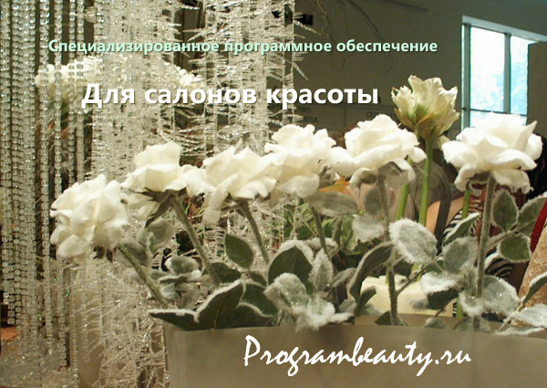 Специализированное программное обеспечение для салонов красоты, programbeauty.ru