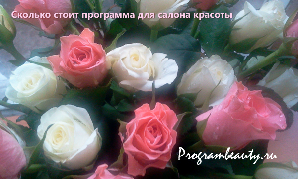 Сколько стоит программа для салона красоты, programbeauty.ru